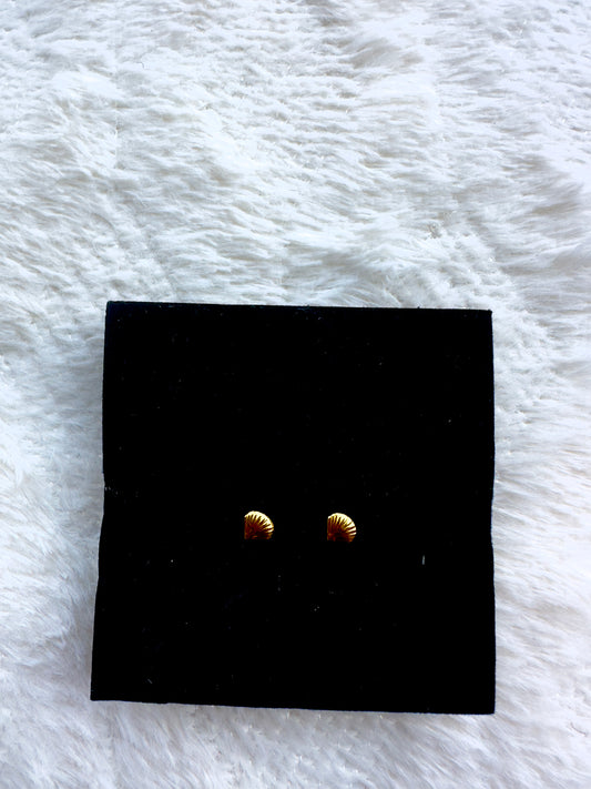 Boucle naya coquillage